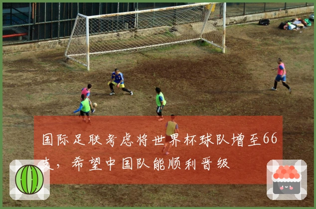 国际足联考虑将世界杯球队增至66支，希望中国队能顺利晋级